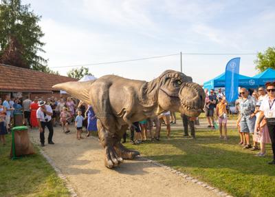 Na zdjęciu Dinozaur Rex w tle mieszkańcy