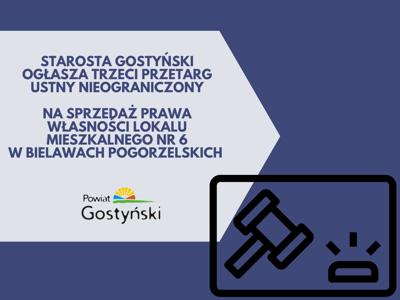 Grafika informacyjna