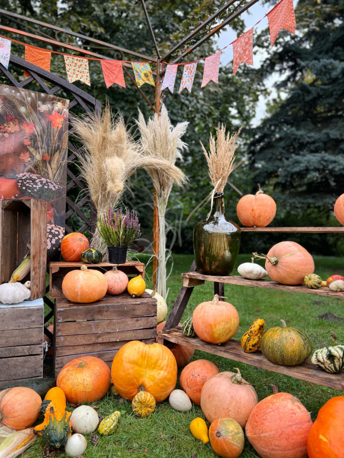 Zdjęcie przedstawia plener zdjęciowy
