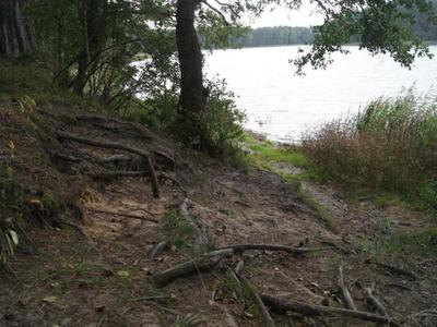 Jezioro Rybno i okolice, drzewa i jezioro