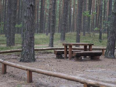 Jezioro Rybno i okolice, drzewa i ławka