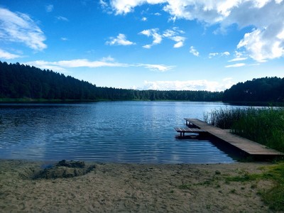 Jezioro Rybno i okolice, drzewa i jezioro