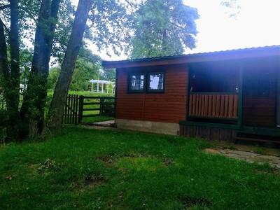 Jezioro Rybno i okolice, drzewa i jezioro