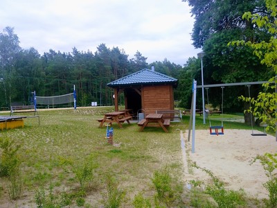 Jezioro Rybno i okolice, drzewa i jezioro