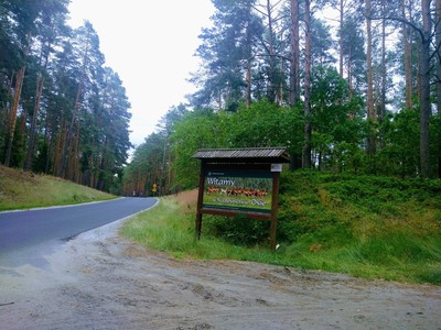 Jezioro Rybno i okolice, drzewa i jezioro