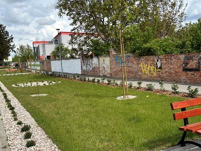 Zdjęcie przedstawiia fragment parkingu, na pierwszym planie widoczna jest gęsta trawa oraz nasadzone rośliny