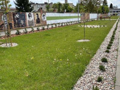 Zdjęcie przedstawiia fragment parkingu, na pierwszym planie widoczna jest trawa oraz nasadzone rośliny i drzewka podparte drewnianymi palikami