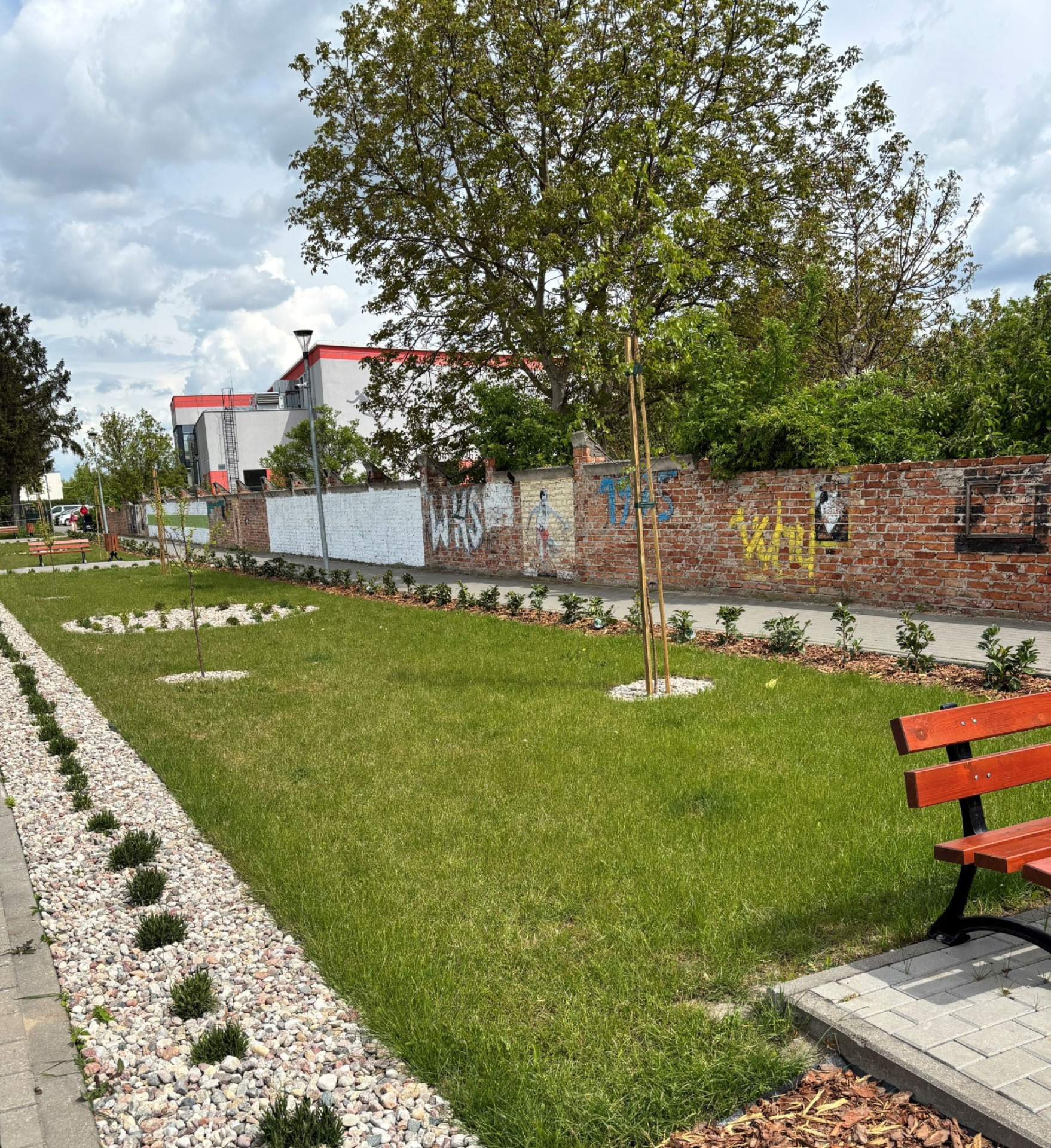 Zdjęcie przedstawiia fragment parkingu, na pierwszym planie widoczna jest gęsta trawa oraz nasadzone rośliny