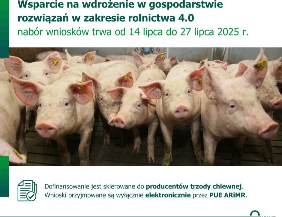 Zdjęcie przedstawia plakat dotyczący treści ogłoszenia