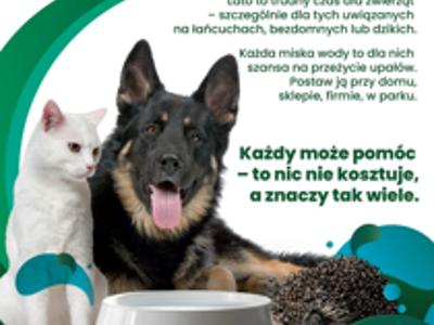 Zdjęcie przedstawia psa i kota