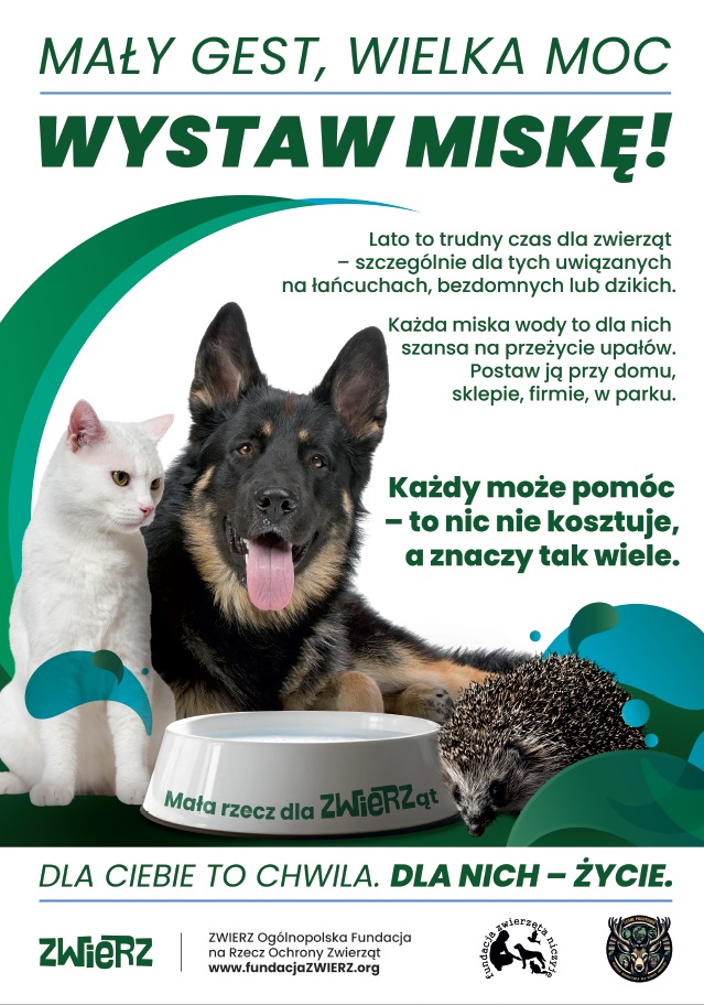 Zdjęcie przedstawia psa i kota