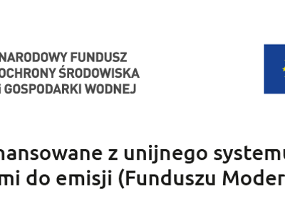 logotyp dla programu