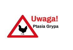 Ptasia Grypa