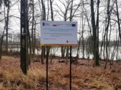 Budowa sieci kanalizacji
