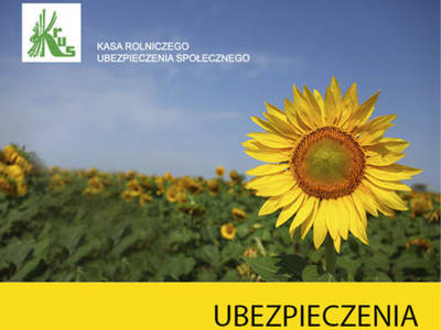 baner KRUS: słonecznik z napisem ubezpieczenia