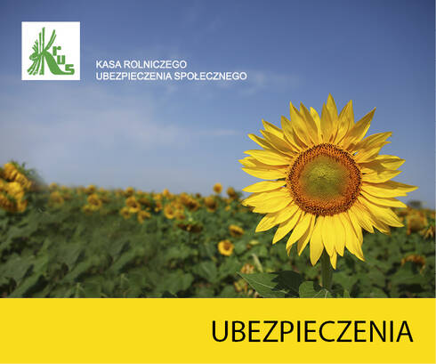 baner KRUS: słonecznik z napisem ubezpieczenia
