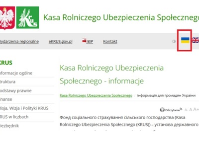 Zrzut ekranu strony Krus dla obywateli Ukrainy