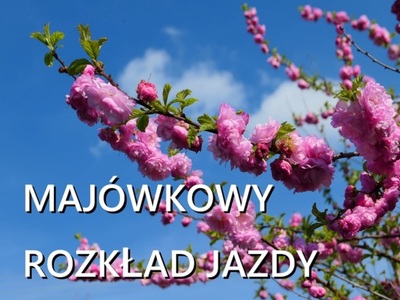 miniatura Majówkowy rozkład jazdy