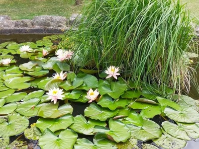 Lato z Wdeckim Parkiem Krajobrazowym