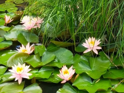 Lato z Wdeckim Parkiem Krajobrazowym