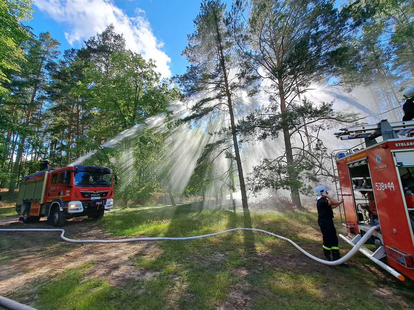 Ćwiczenia OSP, dwa wozu strażackie na tle drzew w obszarze leśnym, z wozów strażackich puszczana jest woda