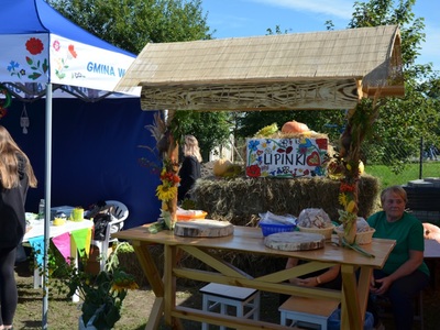 Dożynki Gminne 2022 w Lipinkach