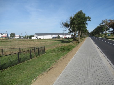 chodnik do Biedronki