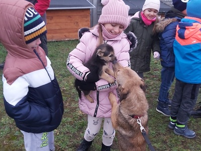 SP Wielki Komorsk wspiera schronisko dla zwierząt. Dziewczynka w różowej kurtce trzyma szczeniaka, który dotyka nosem większego psa na smyczy.