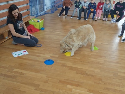 Dogoterapia w SP Wielki Komorsk