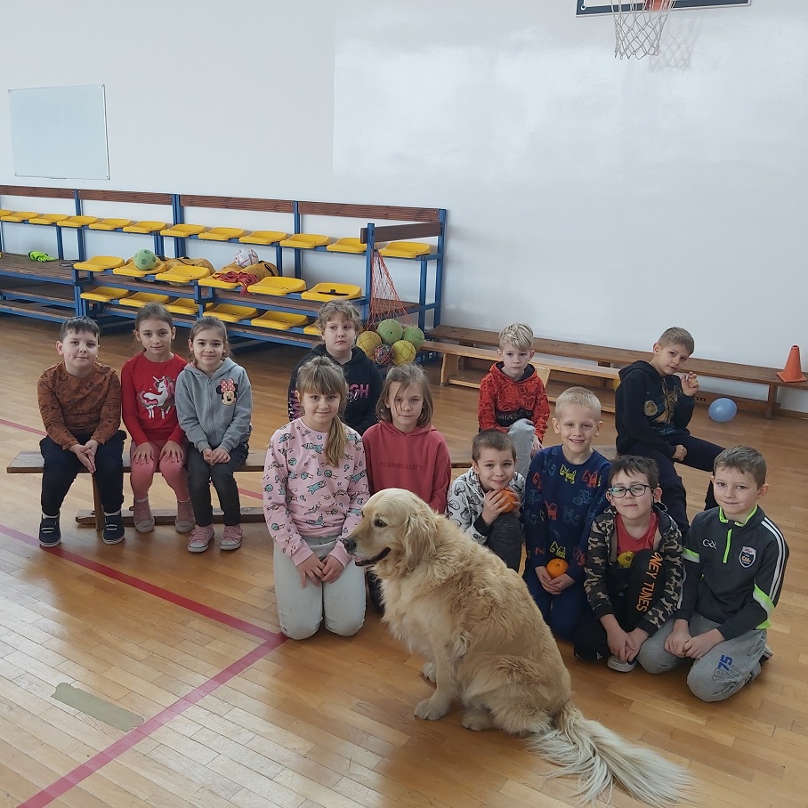 Dogoterapia w SP Wielki Komorsk
