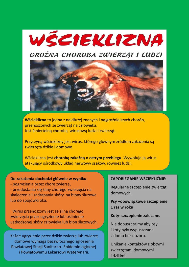 Plakat wścieklizna groźna choroba zwierząt i ludzi
