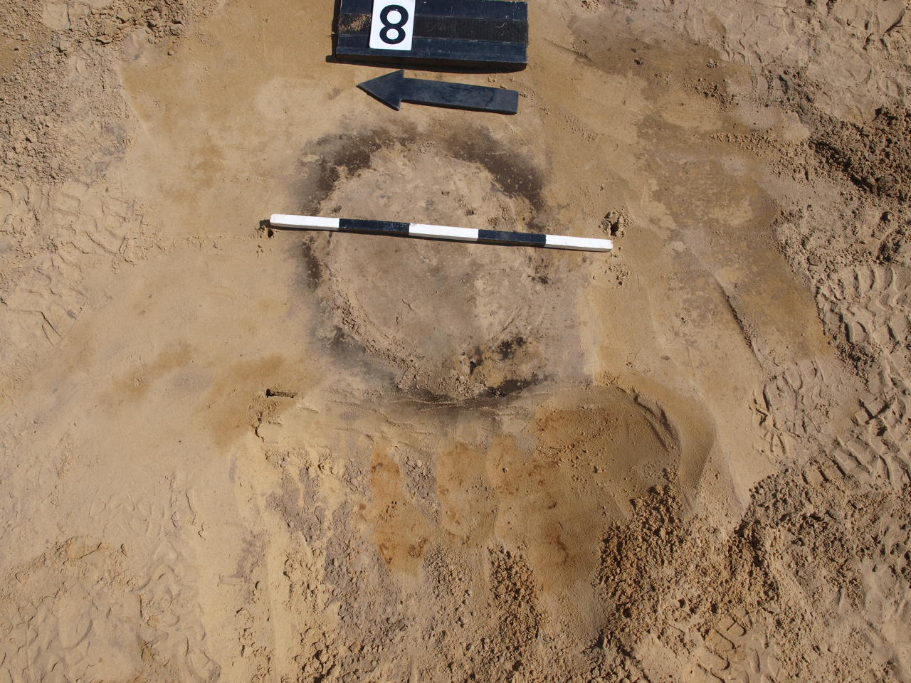 Zdjęcie ukazuje grób popielnicowy odkryty w trakcie badań archeologicznych, z widocznym zarysem jamy grobowej i oznaczeniami wykopaliskowymi.