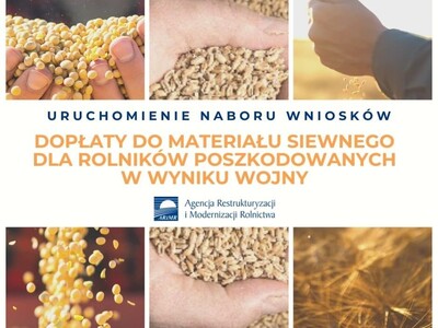 Dopłaty do materiału siewnego dla rolników poszkodowanych w wyniku wojny – grafika ARiMR z ziarnem i logotypem