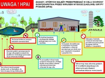 Uwaga HPAI