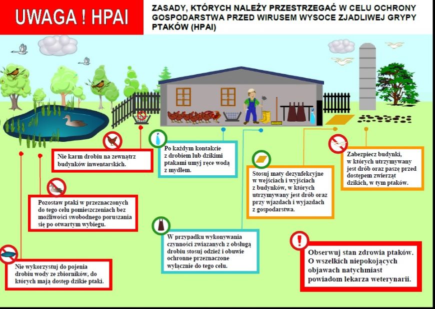 Uwaga HPAI