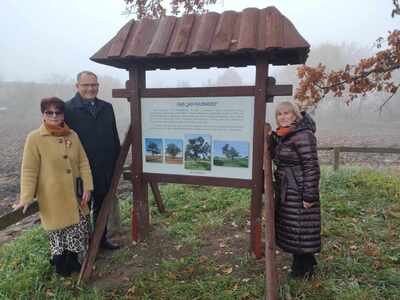Narodowe Święto Niepodległości - tablica dęby