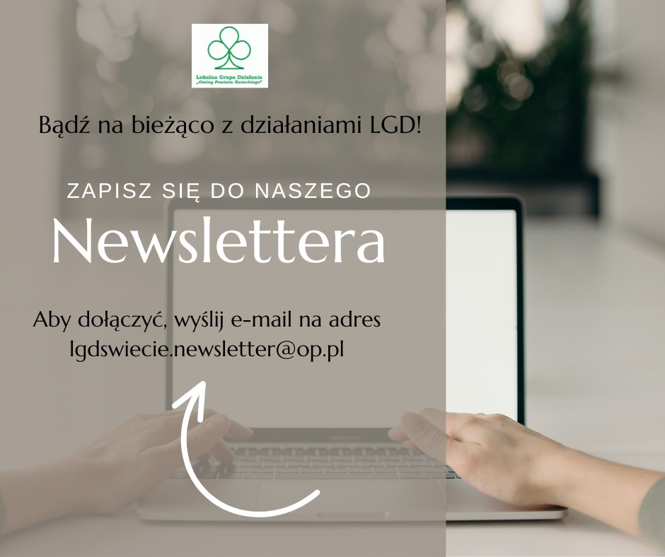 Newsletter - LGD - plakat