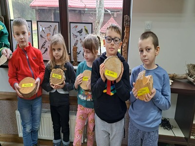 Ferie zimowe 2024, dzieci uczą się o drzewach