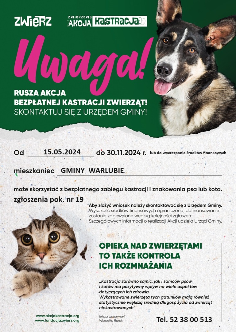 Rusza akcja bezpłatnej kastracji zwierząt!