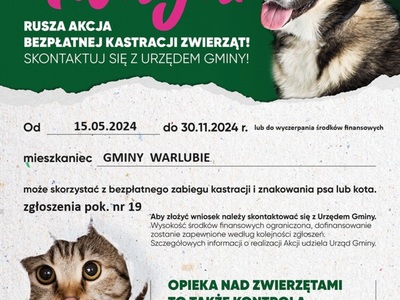 Rusza akcja bezpłatnej kastracji zwierząt!