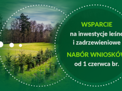 Wsparcie na inwestycje leśne lub zadrzewieniowe