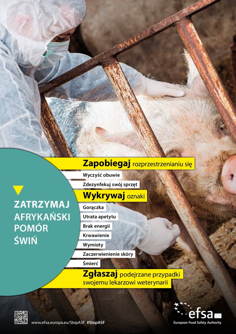 Plakat Zatrzymaj ASF – czyść obuwie, dezynfekuj sprzęt, wykrywaj objawy, zgłaszaj przypadki lekarzowi weterynarii