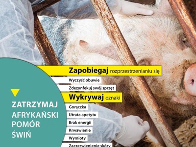 Plakat Zatrzymaj ASF – czyść obuwie, dezynfekuj sprzęt, wykrywaj objawy, zgłaszaj przypadki lekarzowi weterynarii