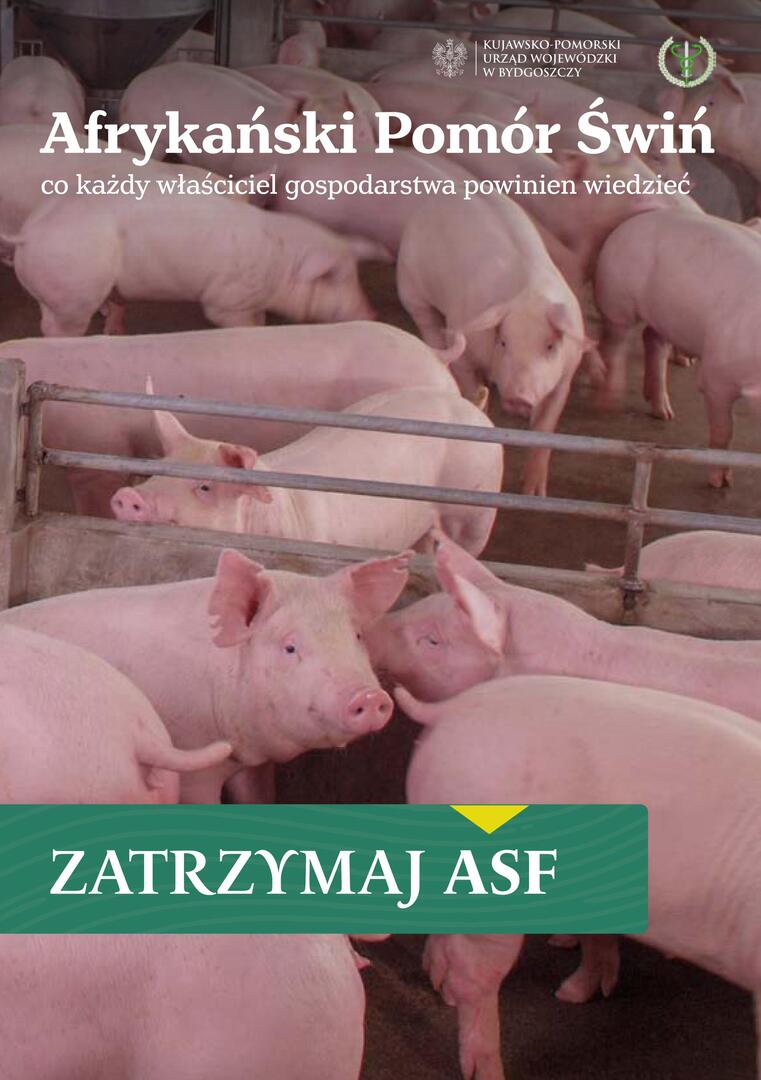 Grupa świń w chlewni, napis: Afrykański Pomór Świń – Zatrzymaj ASF (okładka broszury)