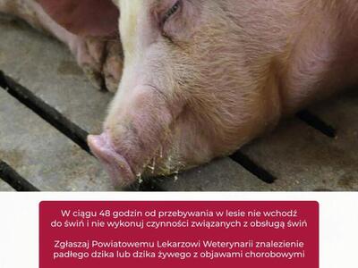 Zatrzymaj ASF - Afrykański Pomór Świń (strona 14)