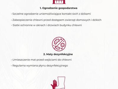 Infografika o bioasekuracji – ogrodzenie, maty dezynfekcyjne, odzież ochronna jako kluczowe elementy ochrony świń (strona 3)