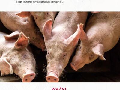 Zatrzymaj ASF - Afrykański Pomór Świń (strona 5)