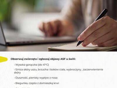 Zatrzymaj ASF - Afrykański Pomór Świń (strona 7)