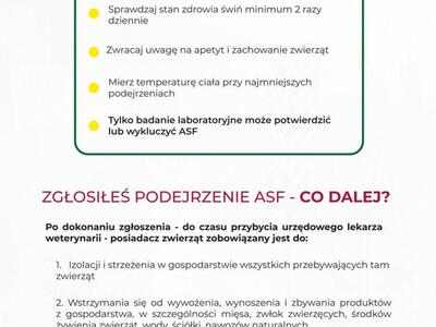 Zatrzymaj ASF - Afrykański Pomór Świń (strona 8)
