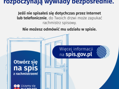 narodowy spis powszechny